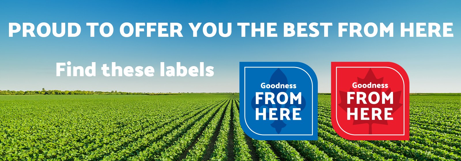 Text Reading: "Proud to offer you the best from here. Find these labels, Goodness From Here."